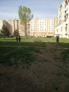 sps